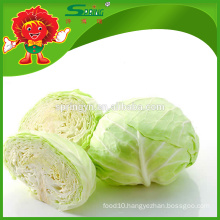 chinese green cabbage factory price cabbage